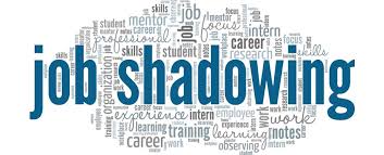 job shadow infographic